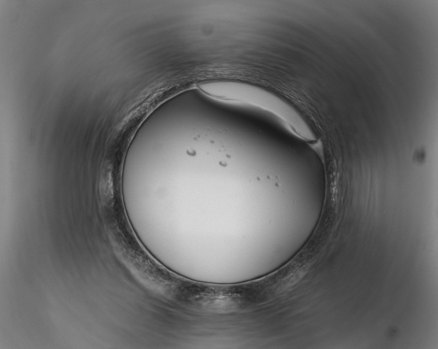 X0000116350254200912151358