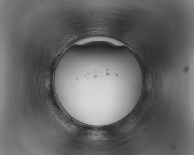 X0000116350255200912151358