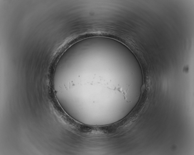 X0000116350256200912151358