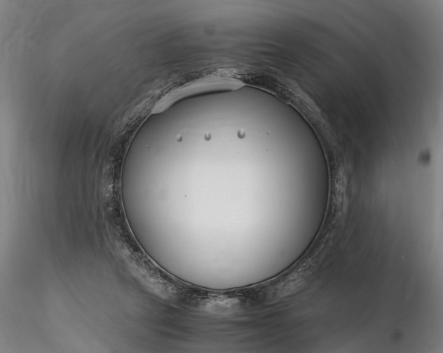 X0000116350257200912151358