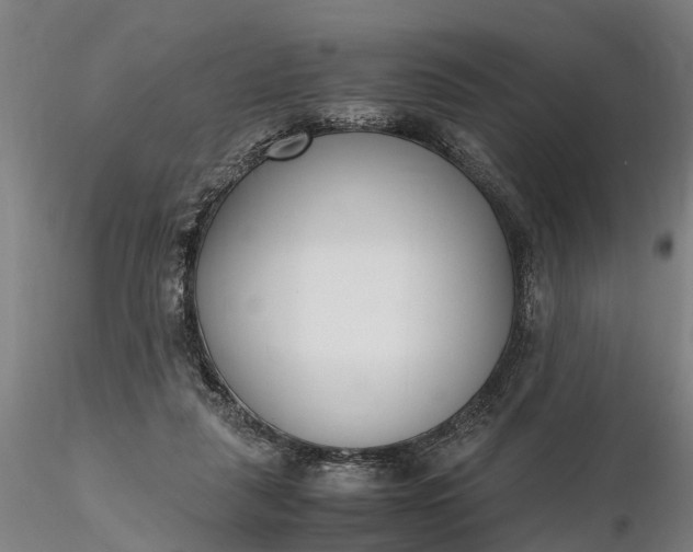 X0000116350259200912151358