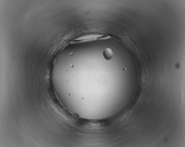 X0000116350260200912151358