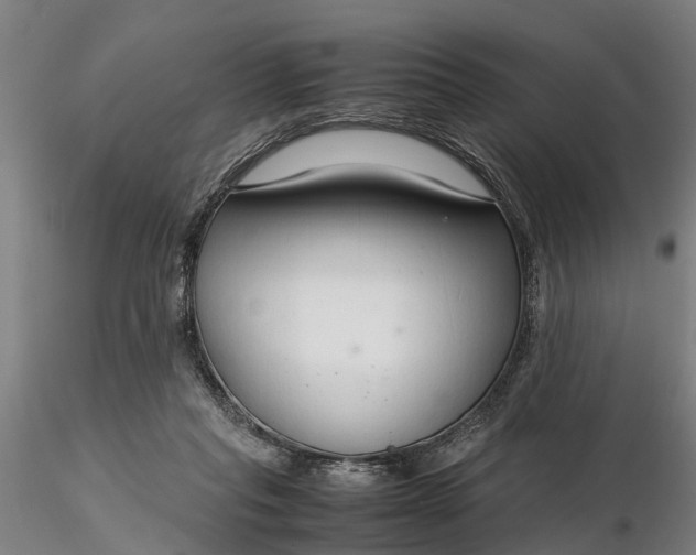 X0000116350261200912151358