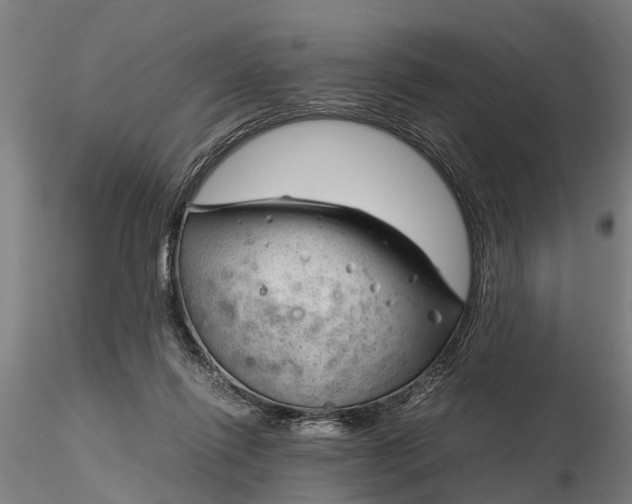 X0000116350262200912151358