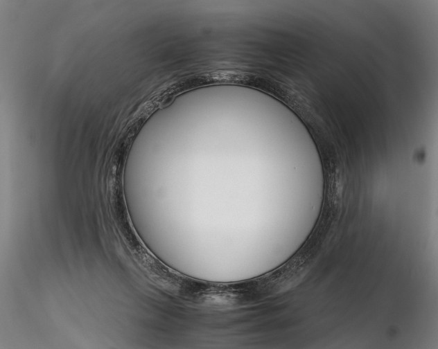 X0000116350263200912151358