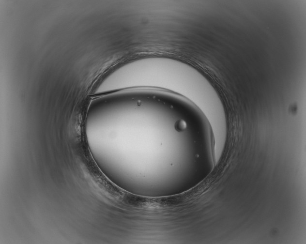 X0000116350264200912151358