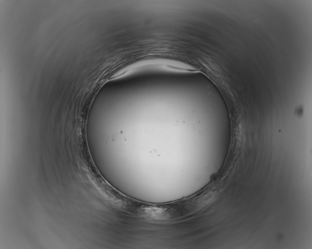 X0000116350265200912151358