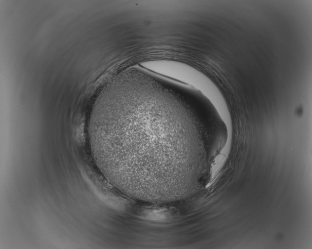 X0000116350267200912151358