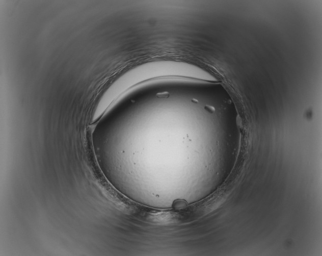 X0000116350269200912151358