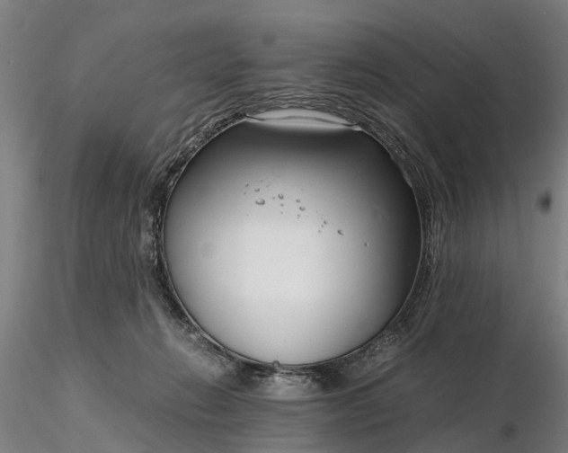 X0000116350270200912151358