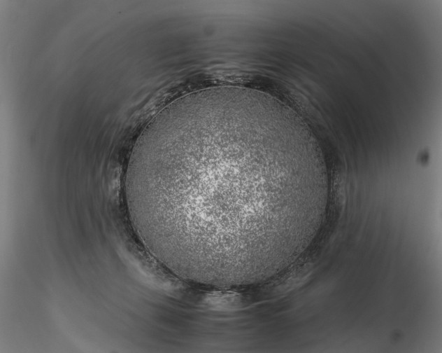 X0000116350271200912151358