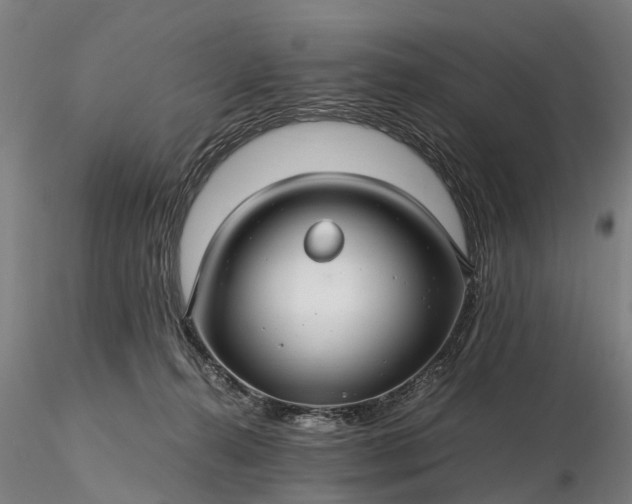 X0000116350272200912151358