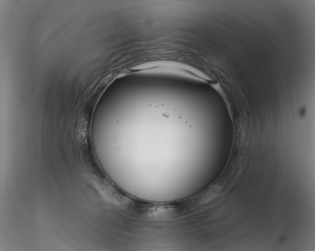 X0000116350274200912151358