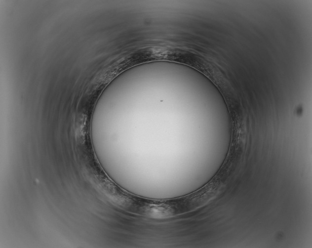 X0000116350275200912151359