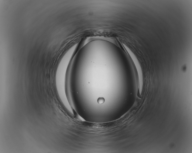 X0000116350276200912151359