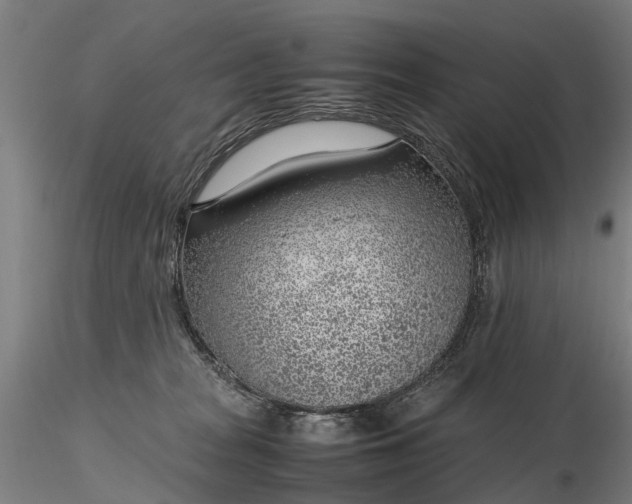 X0000116350277200912151359