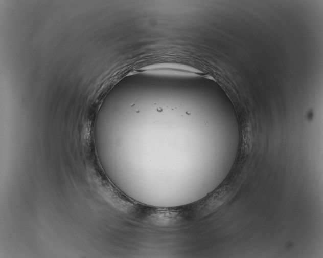 X0000116350278200912151359