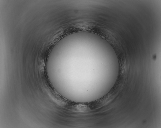 X0000116350279200912151359