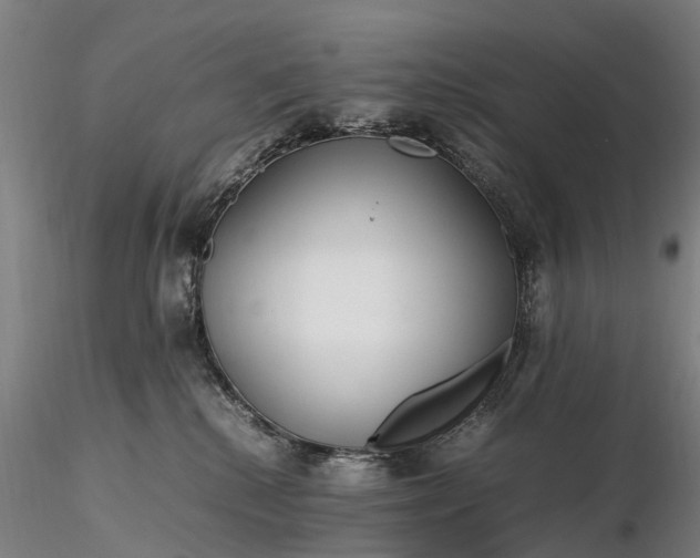 X0000116350280200912151359