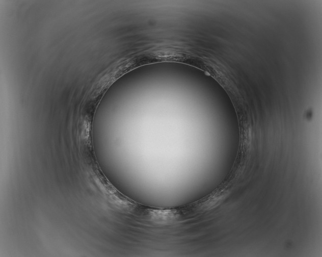 X0000116350281200912151359