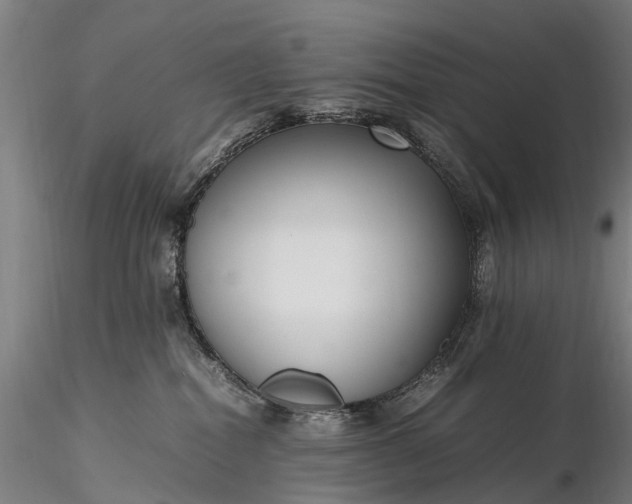 X0000116350282200912151359