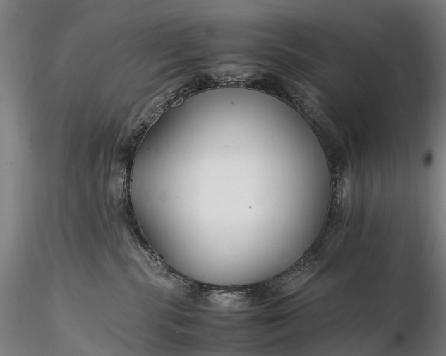 X0000116350283200912151359