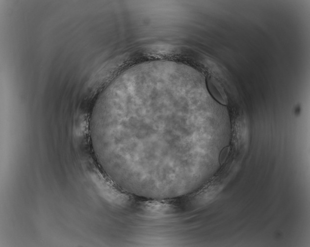 X0000116350284200912151359