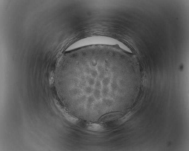 X0000116350285200912151359