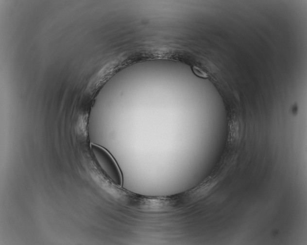 X0000116350286200912151359