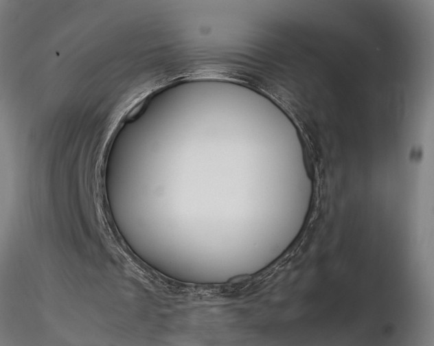 X0000116350289200912151358