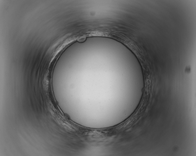 X0000116350290200912151358