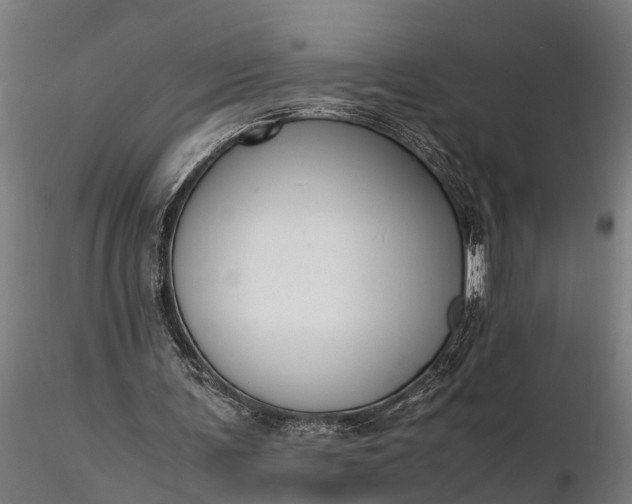 X0000116350291200912151358