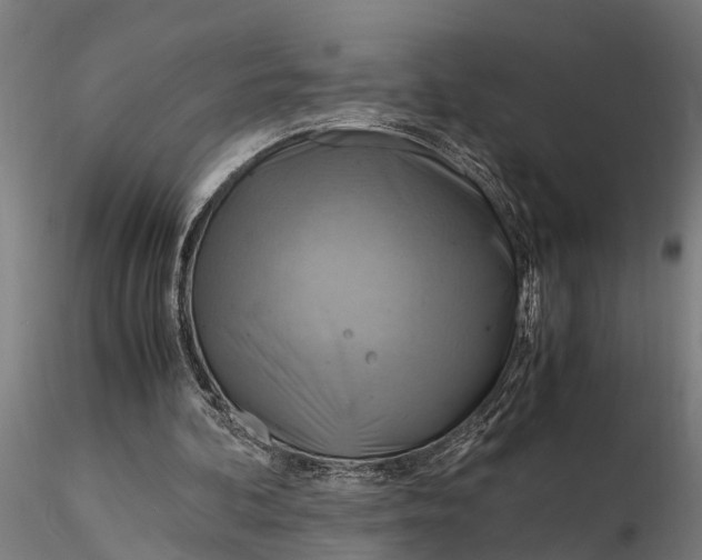 X0000116350292200912151358