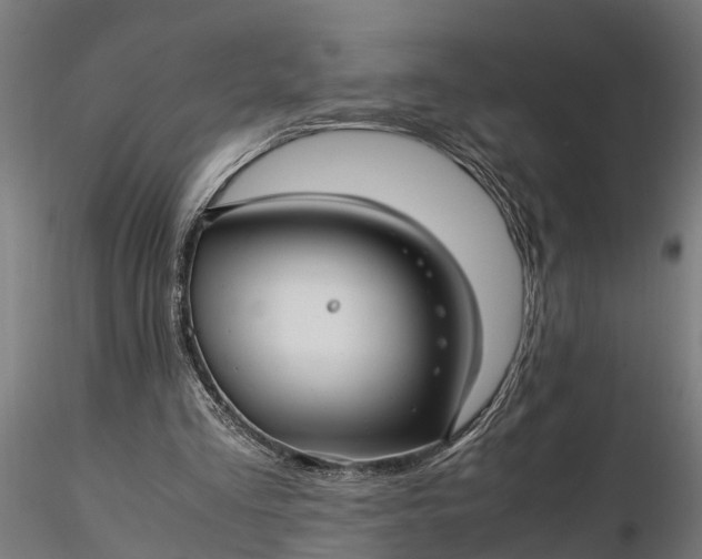 X0000116350293200912151358