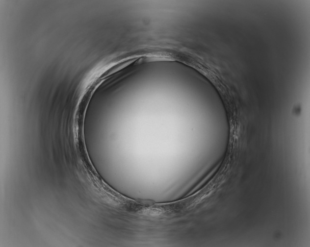 X0000116350294200912151358