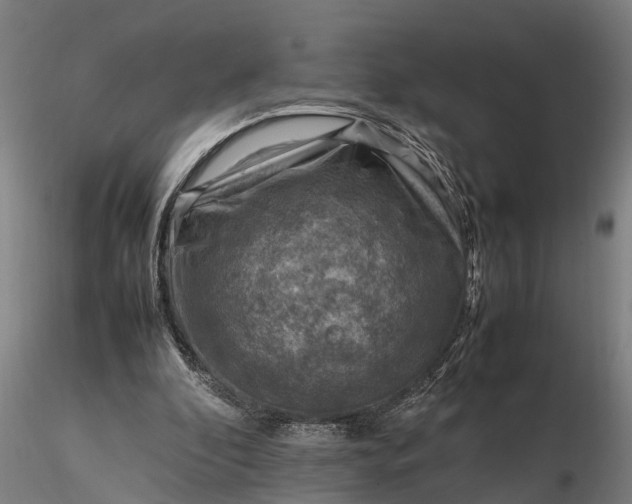 X0000116350296200912151358