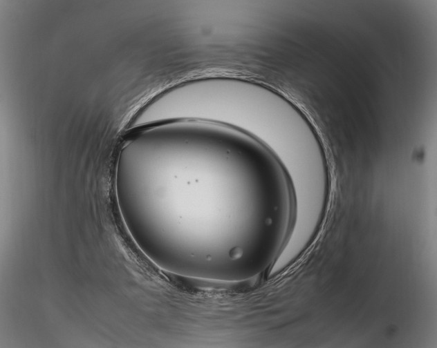 X0000116350297200912151358