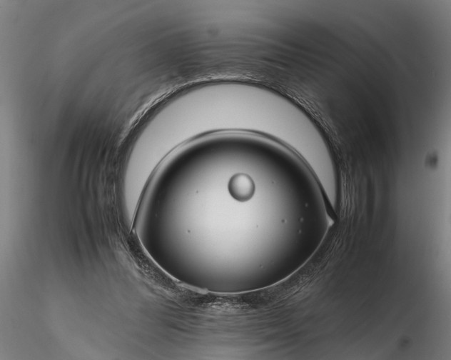 X0000116350300200912151358