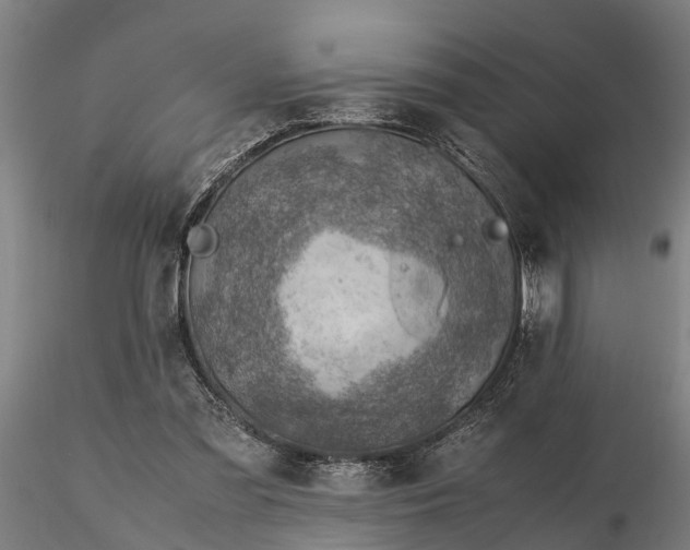 X0000116350301200912151358