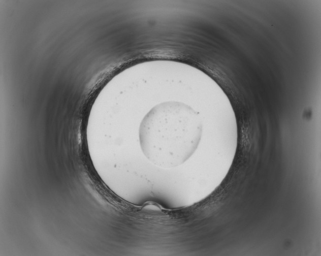 X0000116350302200912151358