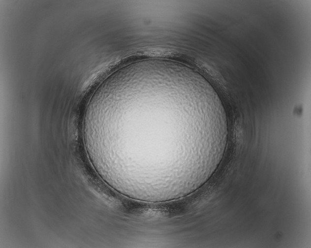 X0000116350303200912151358