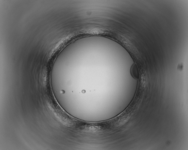 X0000116350304200912151358