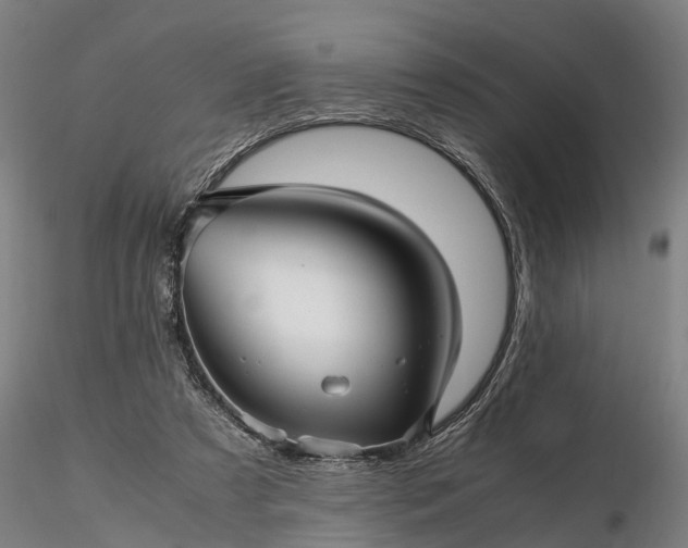 X0000116350305200912151358