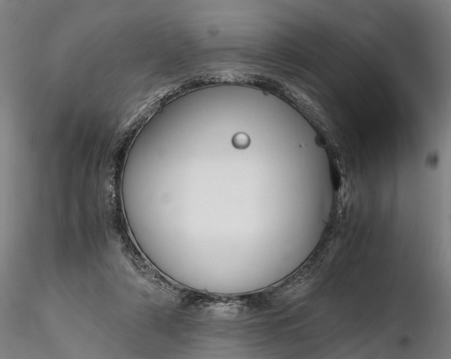 X0000116350306200912151358