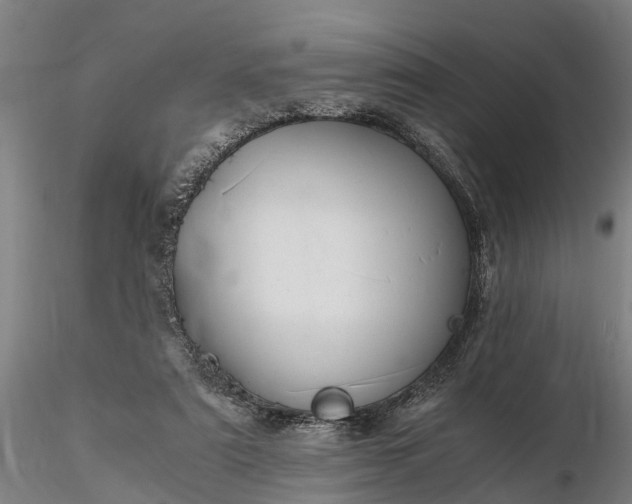 X0000116350307200912151358