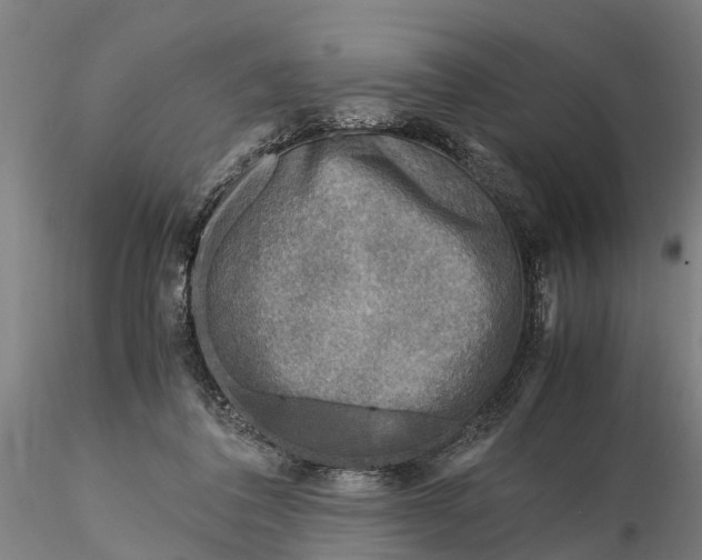 X0000116350308200912151358