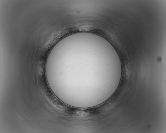 X0000116350311200912151358