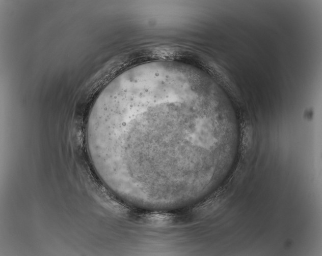 X0000116350313200912151358