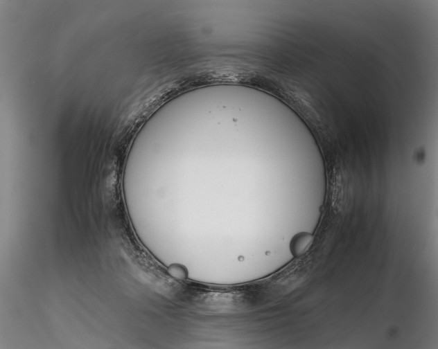 X0000116350314200912151358