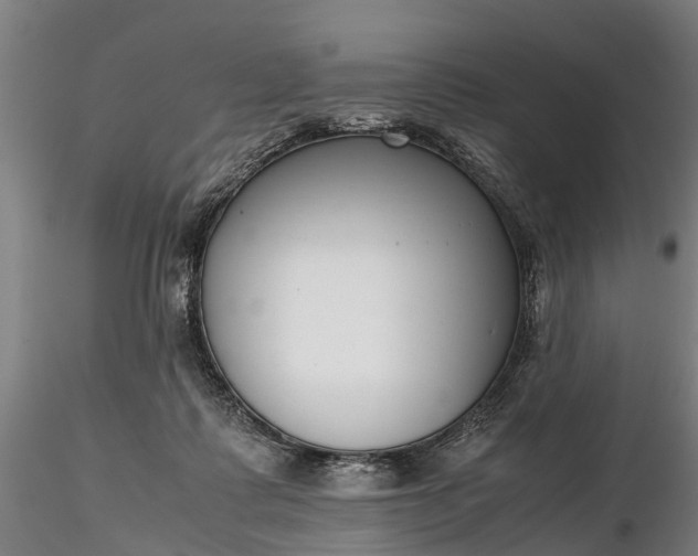 X0000116350315200912151358